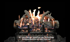 Grand Canyon GlowFire Lava Burning Gas Log Set