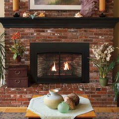 Empire 25" Franklin Clean-Face Direct Vent Gas Fireplace Insert with Log Set and Blower