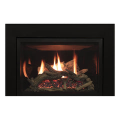 Empire 30" Renegade Clean-Face Direct Vent Gas Fireplace Insert with Multi-Function Remote and Blower