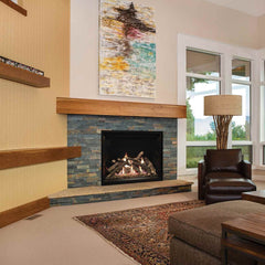 Empire 50" Renegade Clean-Face Direct Vent Gas Fireplace with TruFlame Technology