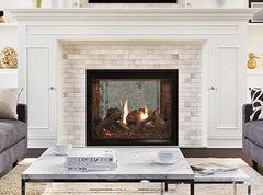 Empire 40" Renegade Clean-Face Double-Sided Direct Vent Gas Fireplace with TruFlame Technology