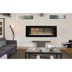 Empire 48" Boulevard Double-Sided Direct Vent Linear Gas Fireplace with Multi-Function Remote