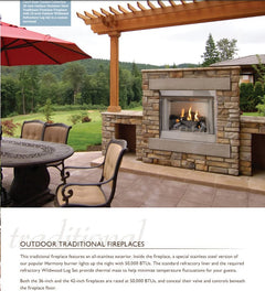 Empire 36" Carol Rose Outdoor Premium Stainless Steel Gas Fireplace with Harmony Burner and Refractory Liner