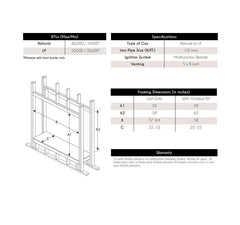 Empire 40" Renegade Clean-Face Double-Sided Direct Vent Gas Fireplace with TruFlame Technology