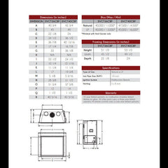 Empire 40" Renegade Clean-Face Direct Vent Gas Fireplace with TruFlame Technology