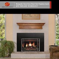 Empire 30" Renegade Clean-Face Direct Vent Gas Fireplace Insert with Multi-Function Remote and Blower