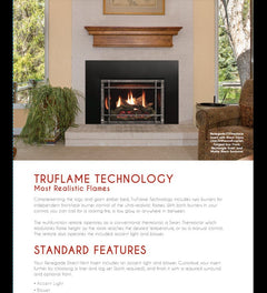 Empire 30" Renegade Clean-Face Direct Vent Gas Fireplace Insert with Multi-Function Remote and Blower