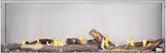 Napoleon GSS62 Galaxy Outdoor Gas Fireplace, 62-Inch