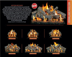 Grand Canyon DRIFTWOODSTLOGS Western Driftwood Double Sided Gas Logs Only