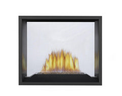 Napoleon HD81NT-1 High Definition See Clear Through Direct Vent Gas Fireplace, 54-Inch, Electronic Ignition, Natural Gas