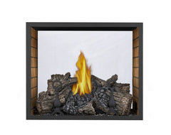 Napoleon HD81NT-1 High Definition See Clear Through Direct Vent Gas Fireplace, 54-Inch, Electronic Ignition, Natural Gas