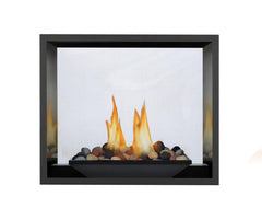 Napoleon HD81NT-1 High Definition See Clear Through Direct Vent Gas Fireplace, 54-Inch, Electronic Ignition, Natural Gas