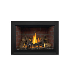 Napoleon GDI3N Oakville Direct Vent Gas Fireplace Insert, 29-Inch