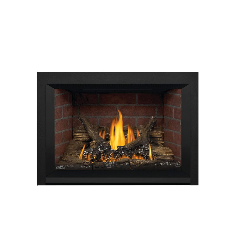 Napoleon GDI3N Oakville Direct Vent Gas Fireplace Insert, 29-Inch, Natural Gas