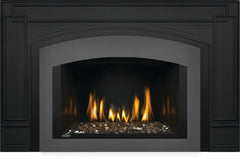 Napoleon GDIG3N Oakville Direct Vent Gas Fireplace Insert with Glass Ember Bed, 29-Inch, Electronic Ignition