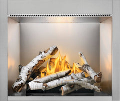 Napoleon RSS42 Riverside Clean Face Stainless Steel Outdoor Gas Fireplace, 42-Inch
