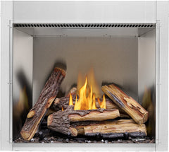 Napoleon RSS36 Riverside Clean Face Stainless Steel Outdoor Gas Fireplace, 36-Inch