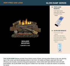 Superior Glow-Ramp Vent-Free Gas Burner with Embers