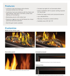 Napoleon TLV50N Tall Vector Single Sided Direct Vent Linear Gas Fireplace, 65-Inch, Electronic Ignition, Natural Gas