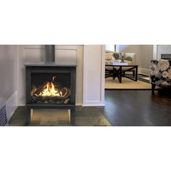 True North TN24 Direct Vent Gas Stove