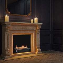 Eco-Feu 16-Inch Bio-Ethanol Fireplace Insert