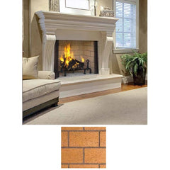 Superior 50-Inch WRT6050 Traditional Masonry Wood Burning Fireplace