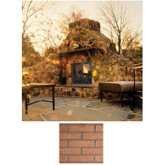 Superior 42-Inch VRE6042 Outdoor Masonry Vent-Free Firebox Only