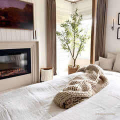Touchstone 80071 29-Inch Fireplug Pro Smart Electric Fireplace Insert with Fire Crackle Sound