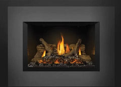 Napoleon GDIX3N Oakville Direct Vent Gas Fireplace Insert, 29-Inch, Electronic Ignition, Natural Gas
