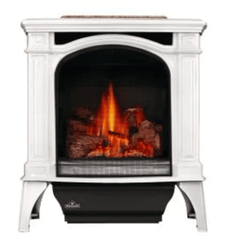 Napoleon GDS25N-1 Bayfield Cast Iron Direct Vent Gas Stove, 24-Inch, Electronic Ignition, Natural Gas