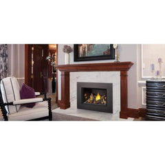 Napoleon GDIX3N Oakville Direct Vent Gas Fireplace Insert, 29-Inch, Electronic Ignition, Natural Gas