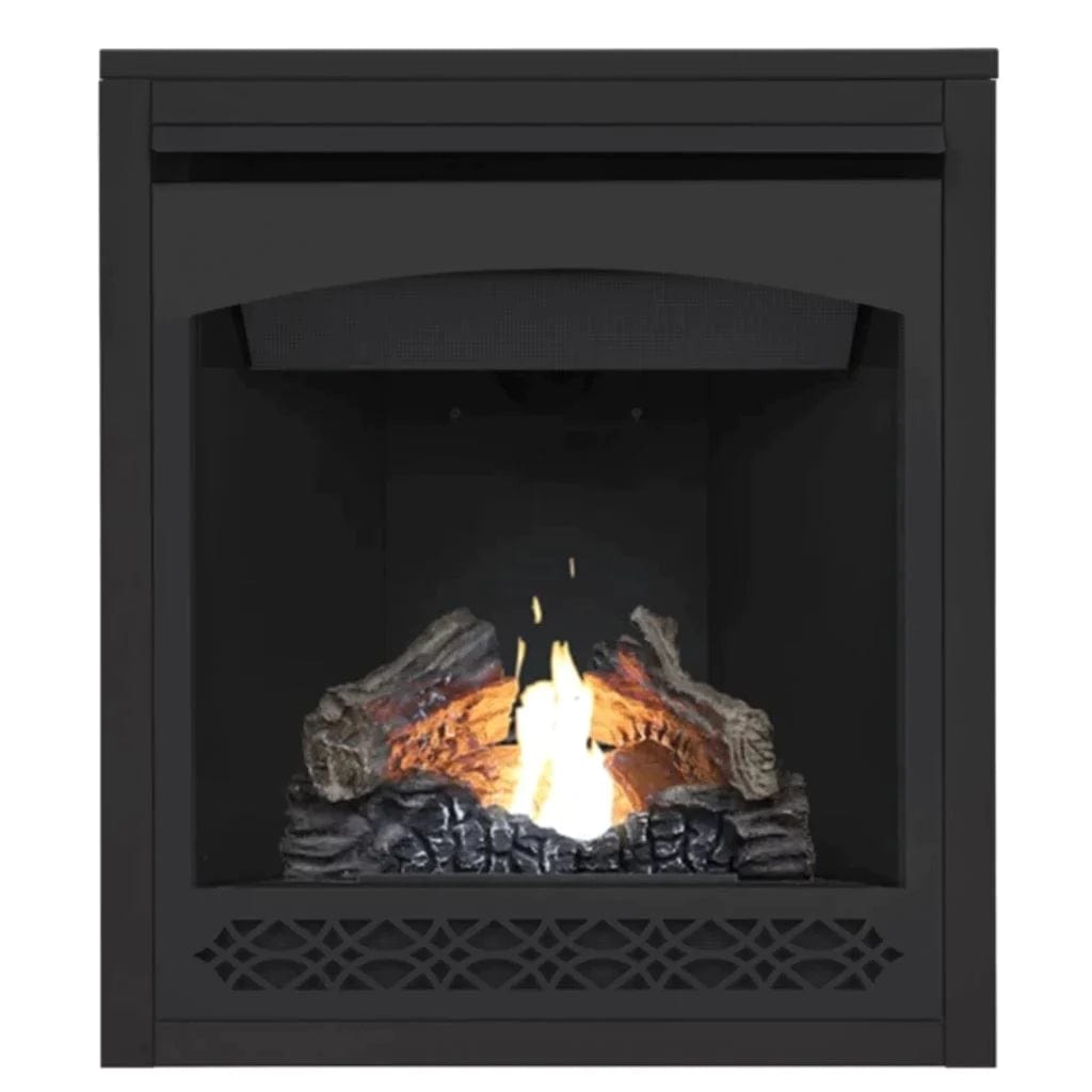 Napoleon B30NTR Ascent Direct Vent Gas Fireplace, 30-Inch