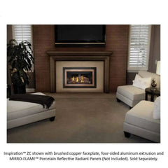 Napoleon GDIZC-NSB Inspiration Direct Vent Gas Fireplace Insert, 34-Inch, Millivolt Ignition, Natural Gas