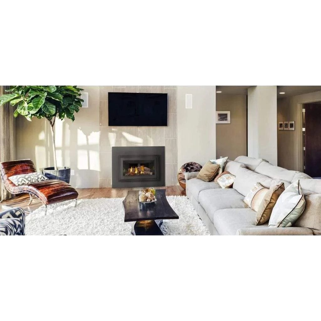 Napoleon GDIZC-NSB Inspiration Direct Vent Gas Fireplace Insert Napoleon GDIZC-NSB Inspiration Direct Vent Gas Fireplace Insert