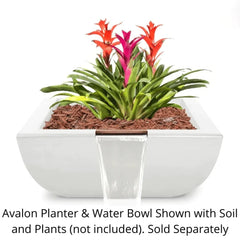 The Outdoor Plus Avalon Planter and Water White Bowl Finish with Soil and Plants