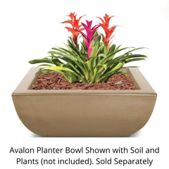 The Outdoor Plus Avalon Planter Bowl Finish with Soil and Plants
