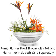 The Outdoor Plus Roma GFRC Concrete Planter Bowl with Plants and Water in White Background